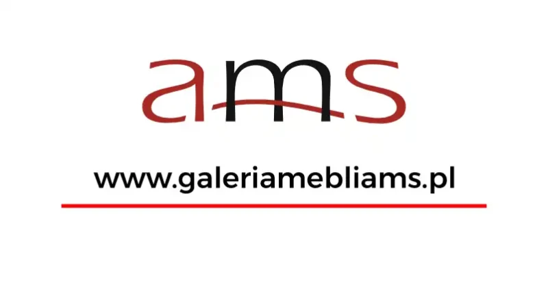 AMS Galeria Mebli