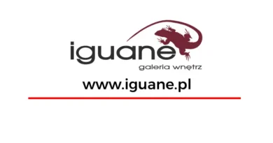 iguane - galeria wnętrz