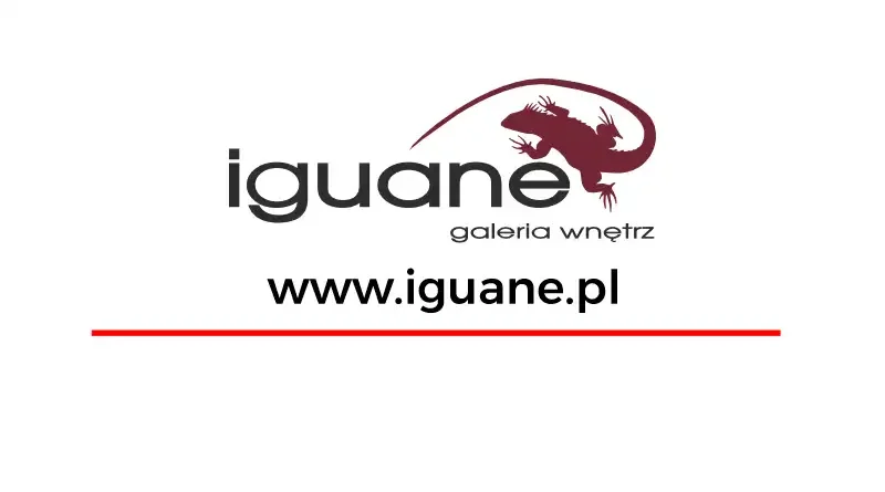 iguane - galeria wnętrz