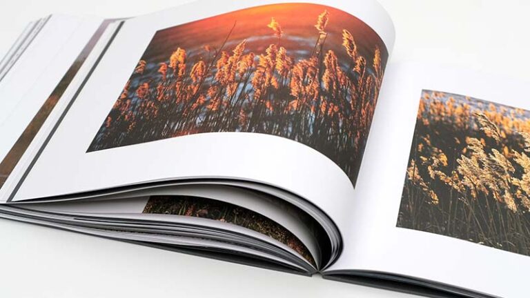 album „Fedorowicz. Fotografie”