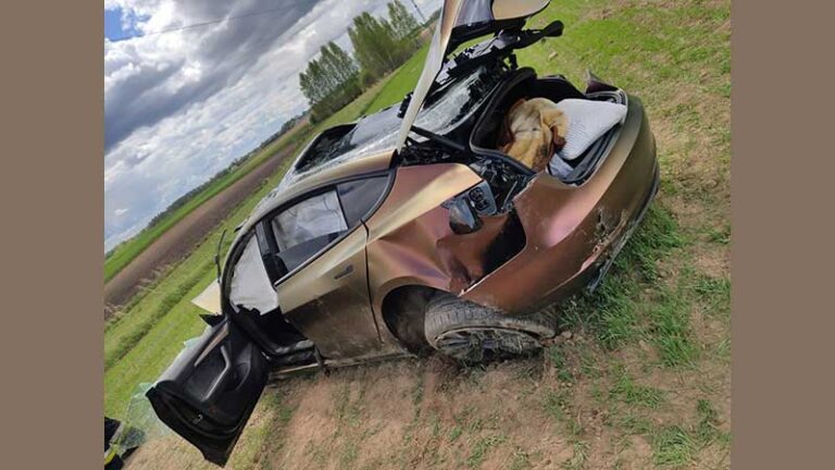 5 tysięcy złotych mandatu za kolizję