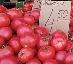 pomidory w cenie 4,50 na straganie