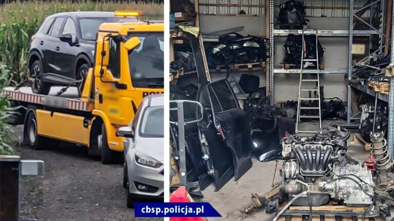 Kradli auta w Europie, w Polsce sprzedawali na części