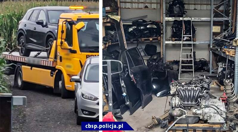 Kradli auta w Europie, w Polsce sprzedawali na części