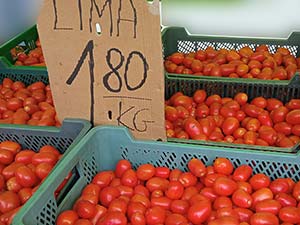 pomidory Limo