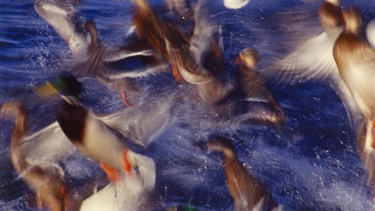 Malowane Obiektywem Wiktora Wołkowa