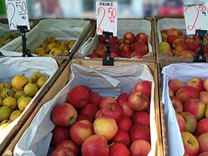 jabłka na giełdzie rolno-towarowej