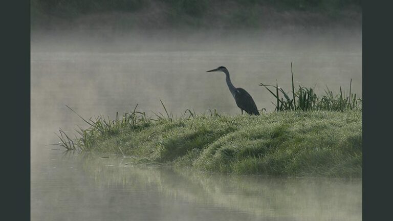 Wystawa zdjęć Jerzego Fedorowicza