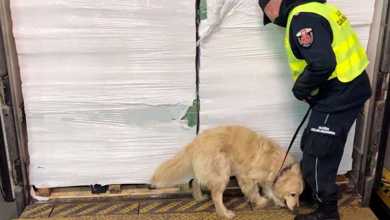 Przemyt 480 tys. paczek papierosów