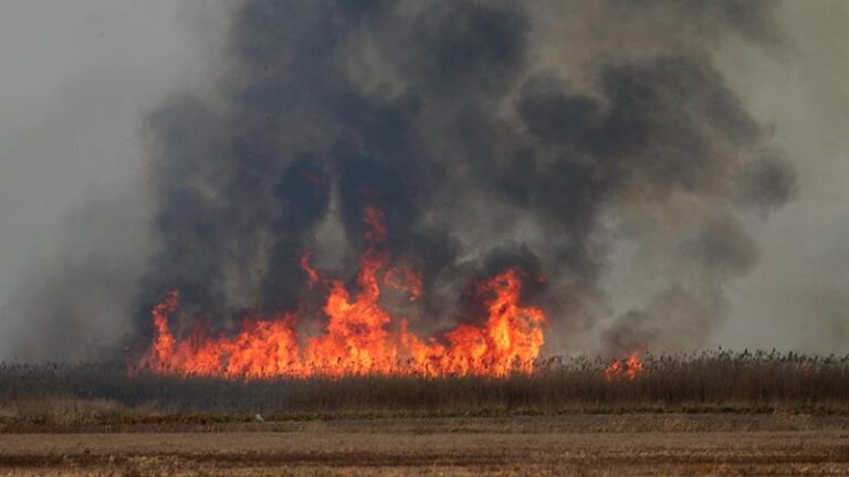 Niebezpieczne wypalanie traw