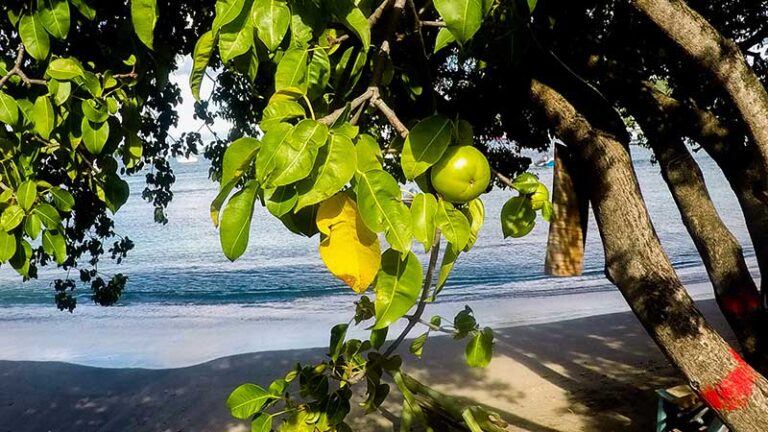 Piotrek Kilian “Pirat Dyplomata”