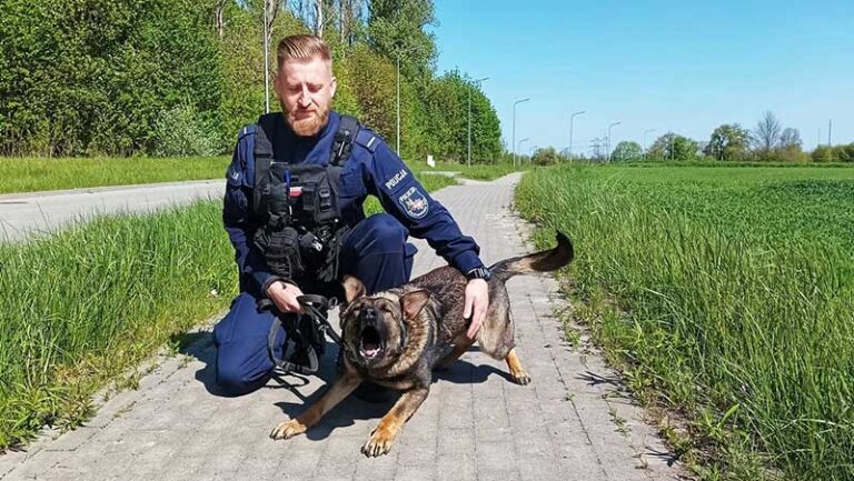 Rufa i starszy posterunkowy - zgrany duet