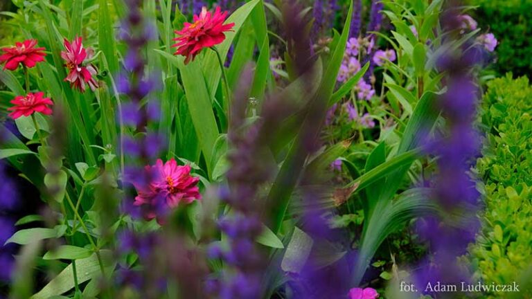 wymiana dekoracji kwiatowej