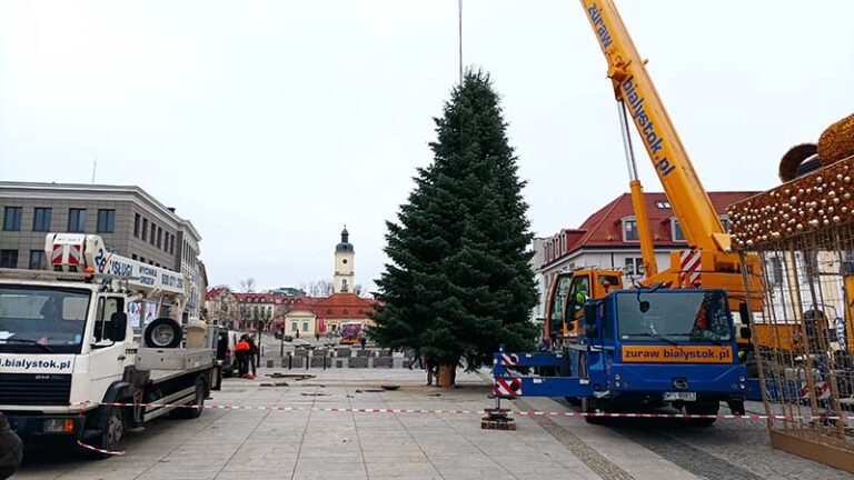 Miasto szuka darczyńcy