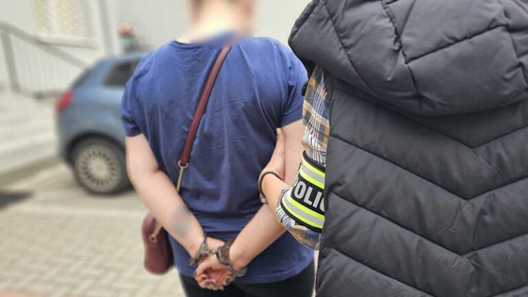 29 latka odpowie za kradzież