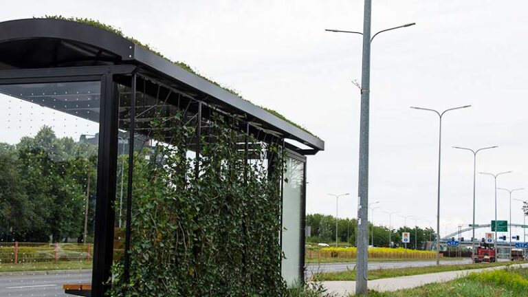 Wymiana oświetlenia ulicznego