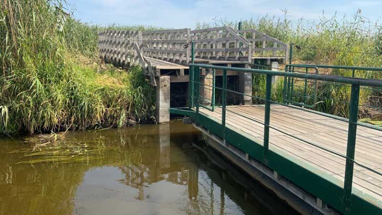 Kładka Waniewo -Śliwno