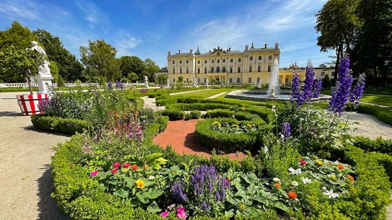 „Dzień dobry wakacje”