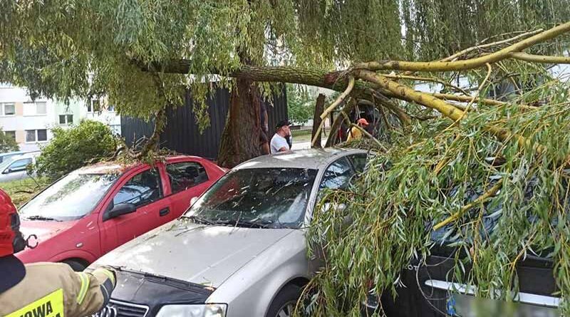 Pracowita noc dla strażaków