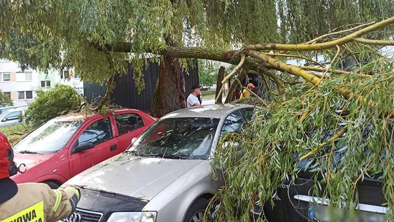 Pracowita noc dla strażaków