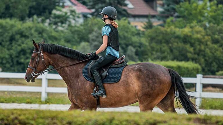 trzecie zawody konne