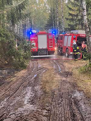 pożar poszycia leśnego w okolicy miejscowości Tajenko