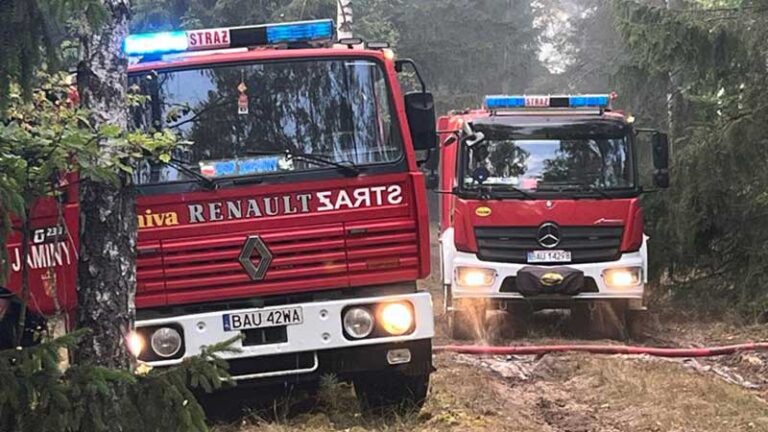 Spalił się 1 hektar poszycia leśnego