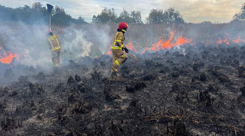 pożar w Biebrzańskim Parku narodowym