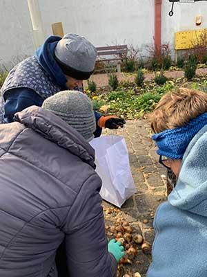 Seniorki z Choroszczy wykonują prace z sadzonkami