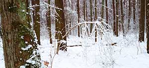 piękne zimowe widoki - reporternews.pl