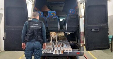 ponad 1000 paczek nielegalnych papierosów, ukrytych w samochodzie wywąchał pies Fado