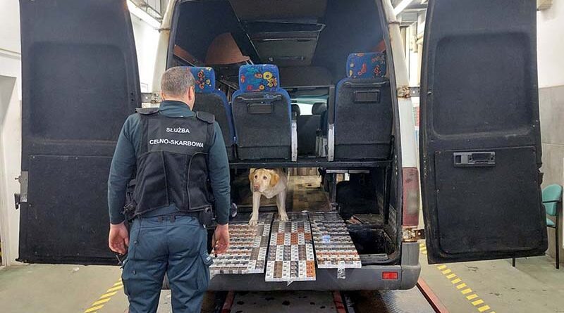ponad 1000 paczek nielegalnych papierosów, ukrytych w samochodzie wywąchał pies Fado