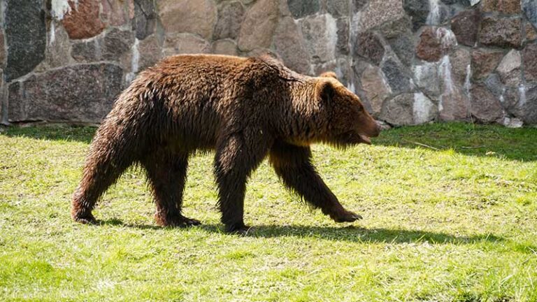 Nowi mieszkańcy białostockiego Akcentu ZOO