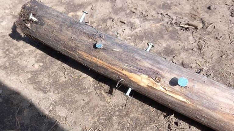 grupa ponad 220 cudzoziemców forsowała granicę