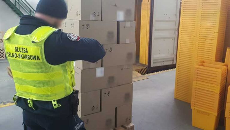 Tytoniowa kontrabanda w kontenerze