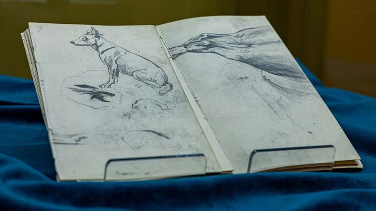 Szkicownik Stanisława Witkiewicza