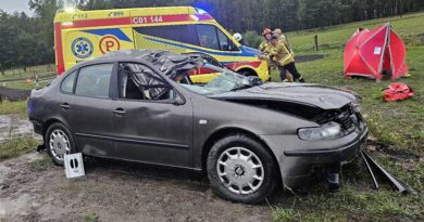 auto zderzyło się z łosiem