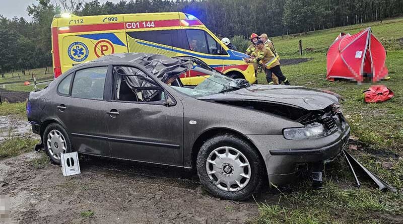 auto zderzyło się z łosiem