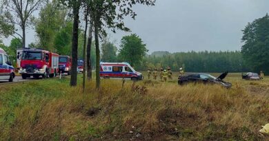 Zderzenie dwóch aut na DK19, w miejscowości Dobromil