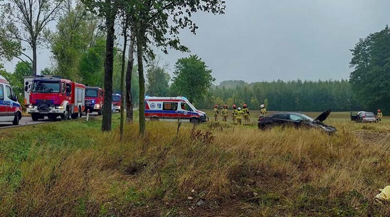 Zderzenie dwóch aut na DK19, w miejscowości Dobromil