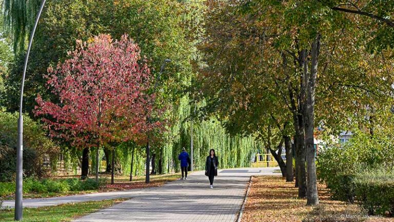 Jesienne prace porządkowe w Białymstoku
