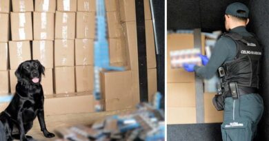 Kontrabanda ukryta w dostawczym aucie