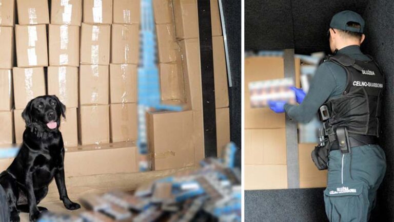 Kontrabanda ukryta w dostawczym aucie