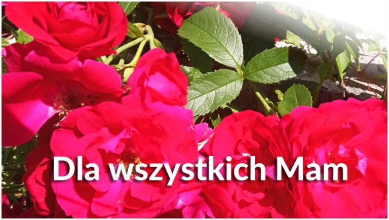 dla wszystkich Mam