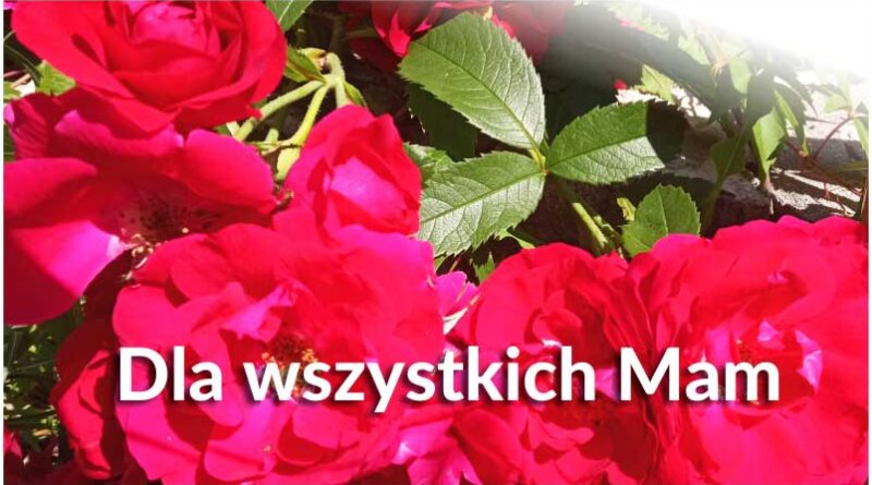 dla wszystkich Mam