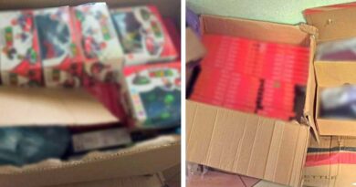 Ponad 430 sztuk podróbek w jednym z ciechanowskich sklepów