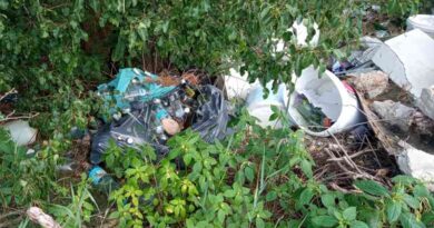 Śmieci w lesie, jak długo się rozkładają