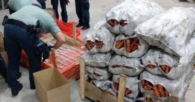 Papierosy ukryte w transporcie marchwi