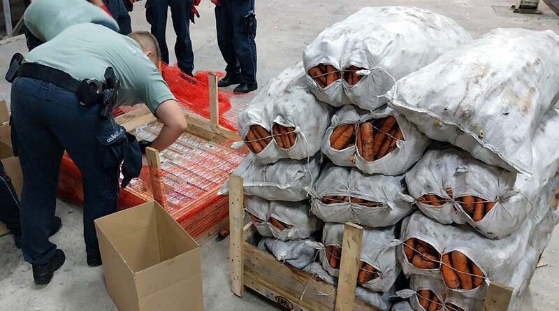 Papierosy ukryte w transporcie marchwi