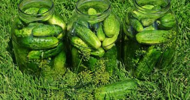 świętujemy Dzień Ogórka